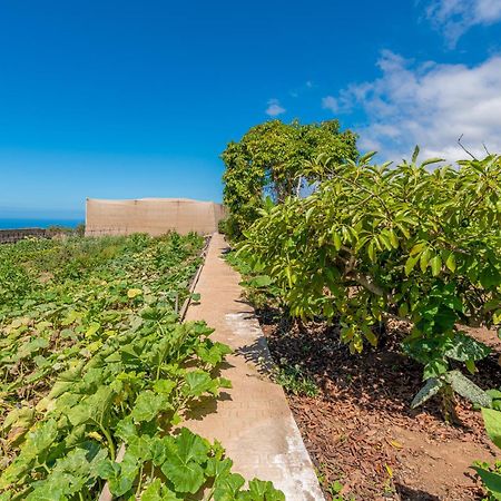 Casa Rural Finca Las Dulces Chío 外观 照片