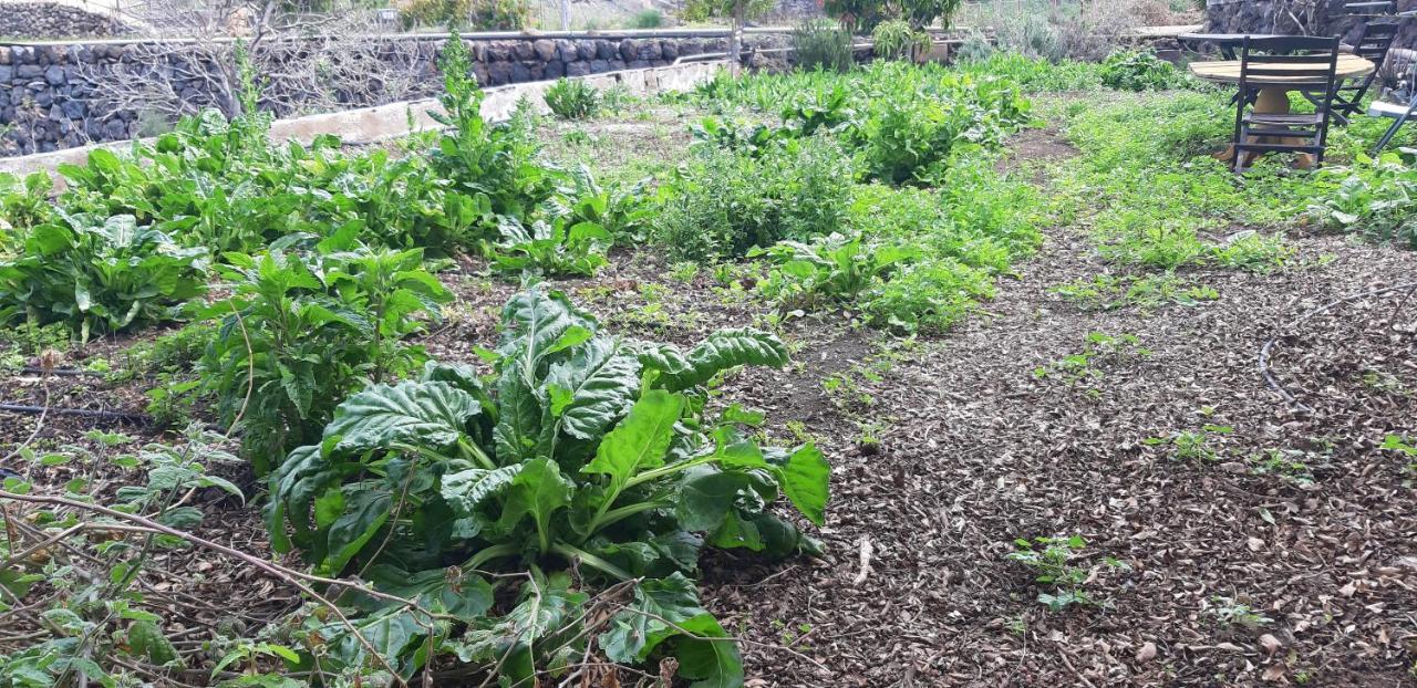 Casa Rural Finca Las Dulces Chío 外观 照片