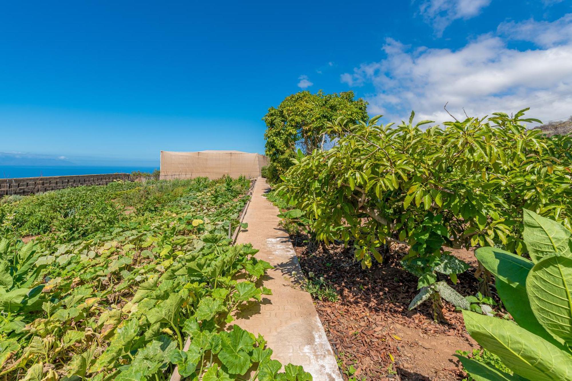 Casa Rural Finca Las Dulces Chío 外观 照片